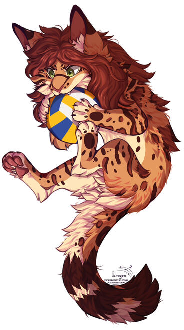a ball